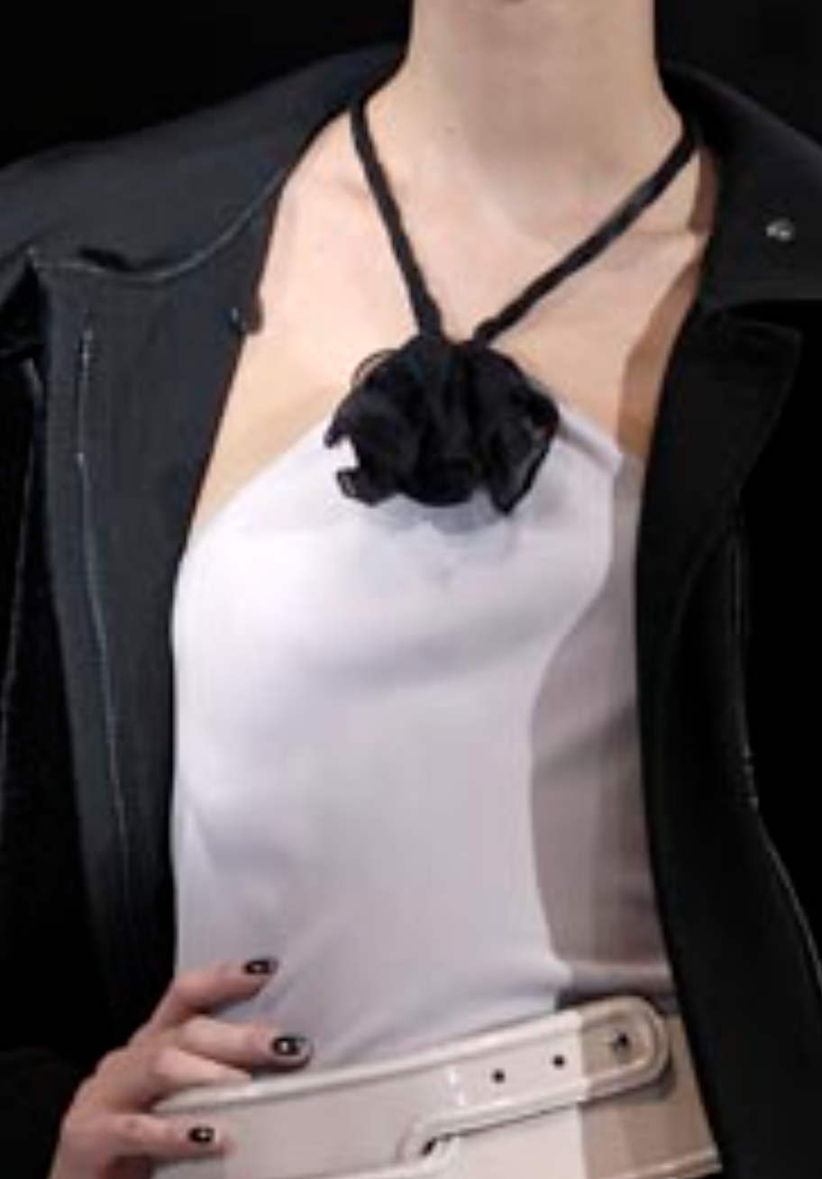 Armani Halter Top.png