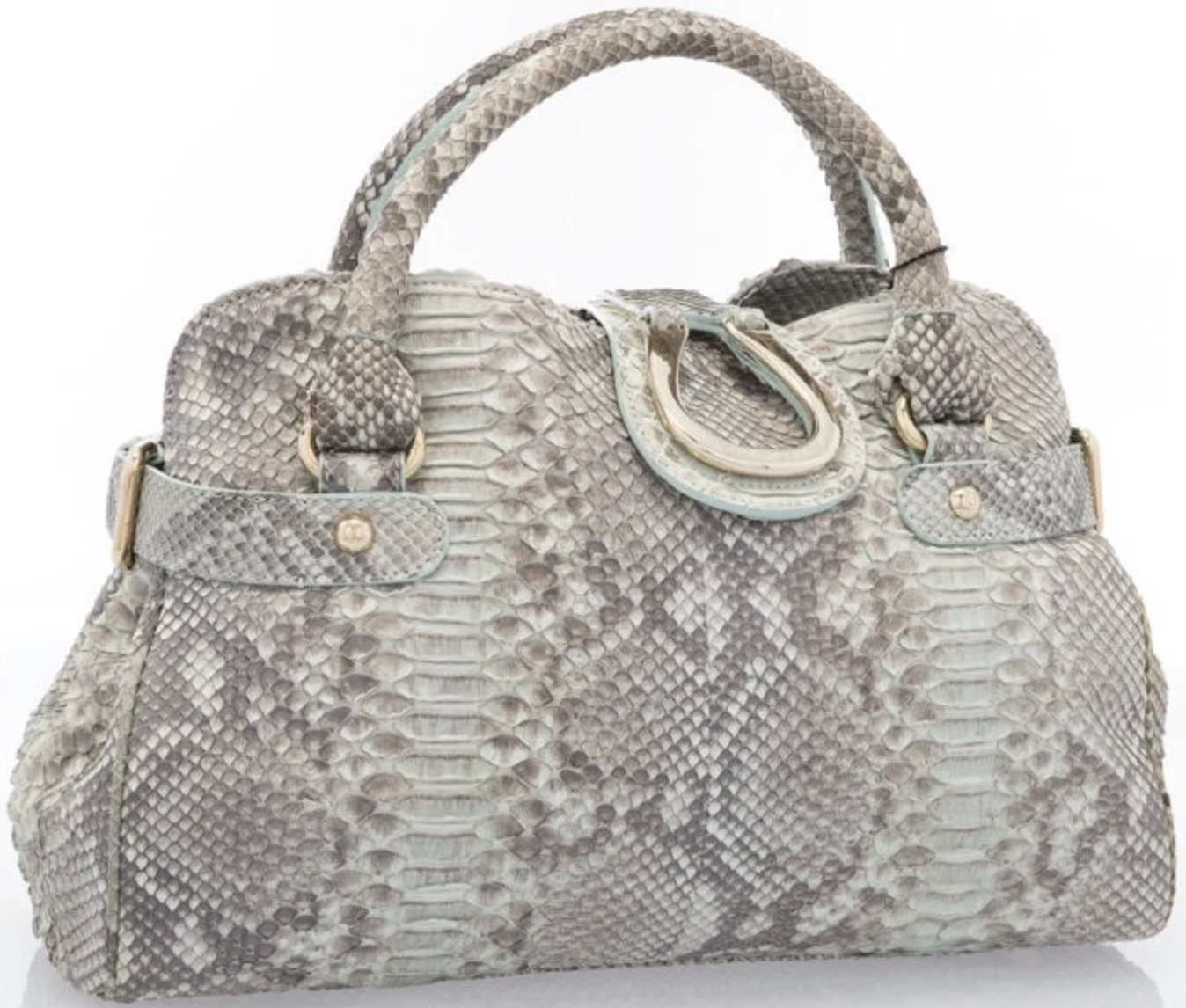 Giorgio Armani Python.png