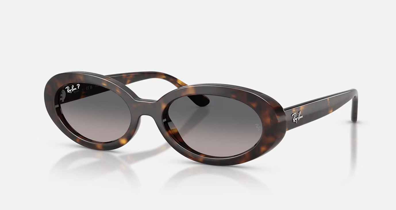 Ray-Ban RB2223 Sunglasses