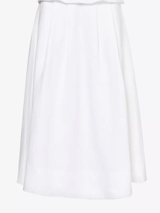 Reformation Skirt.png