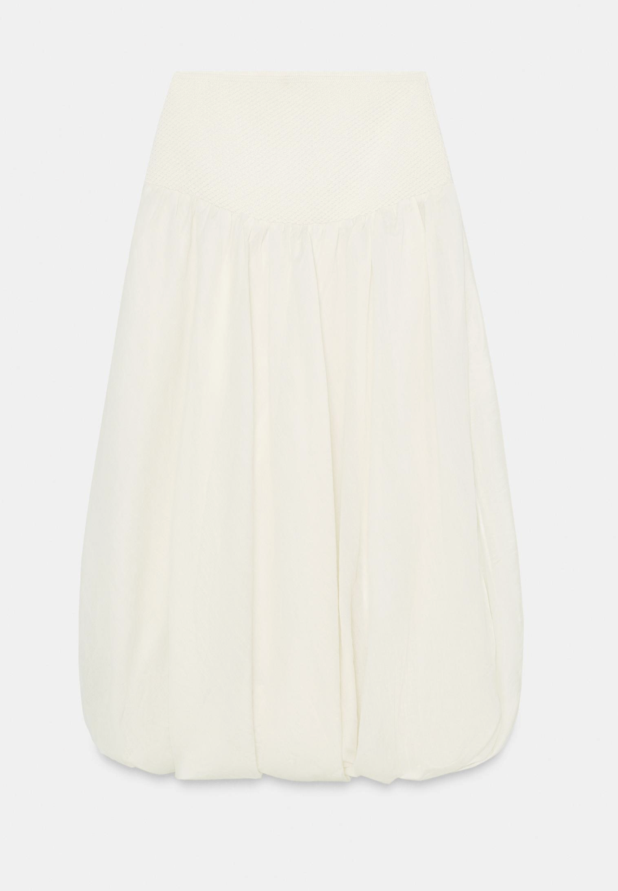 Zara Skirt.png