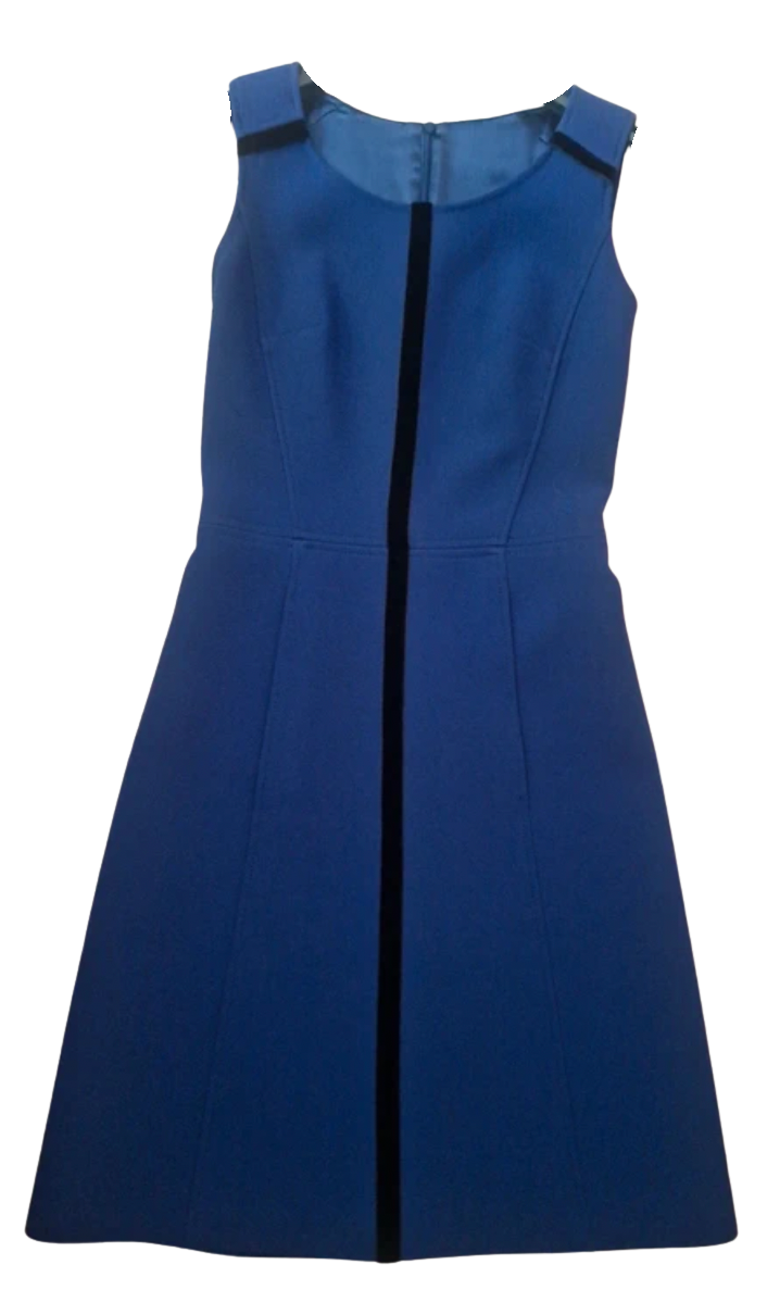 Felipe Varela Dress.png