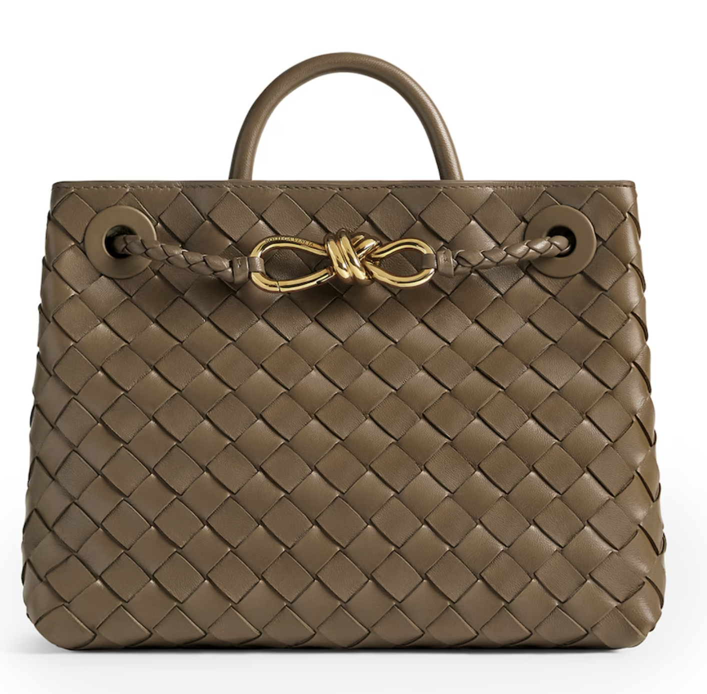 Bottega Veneta Andiamo Small Bag in Pinecone