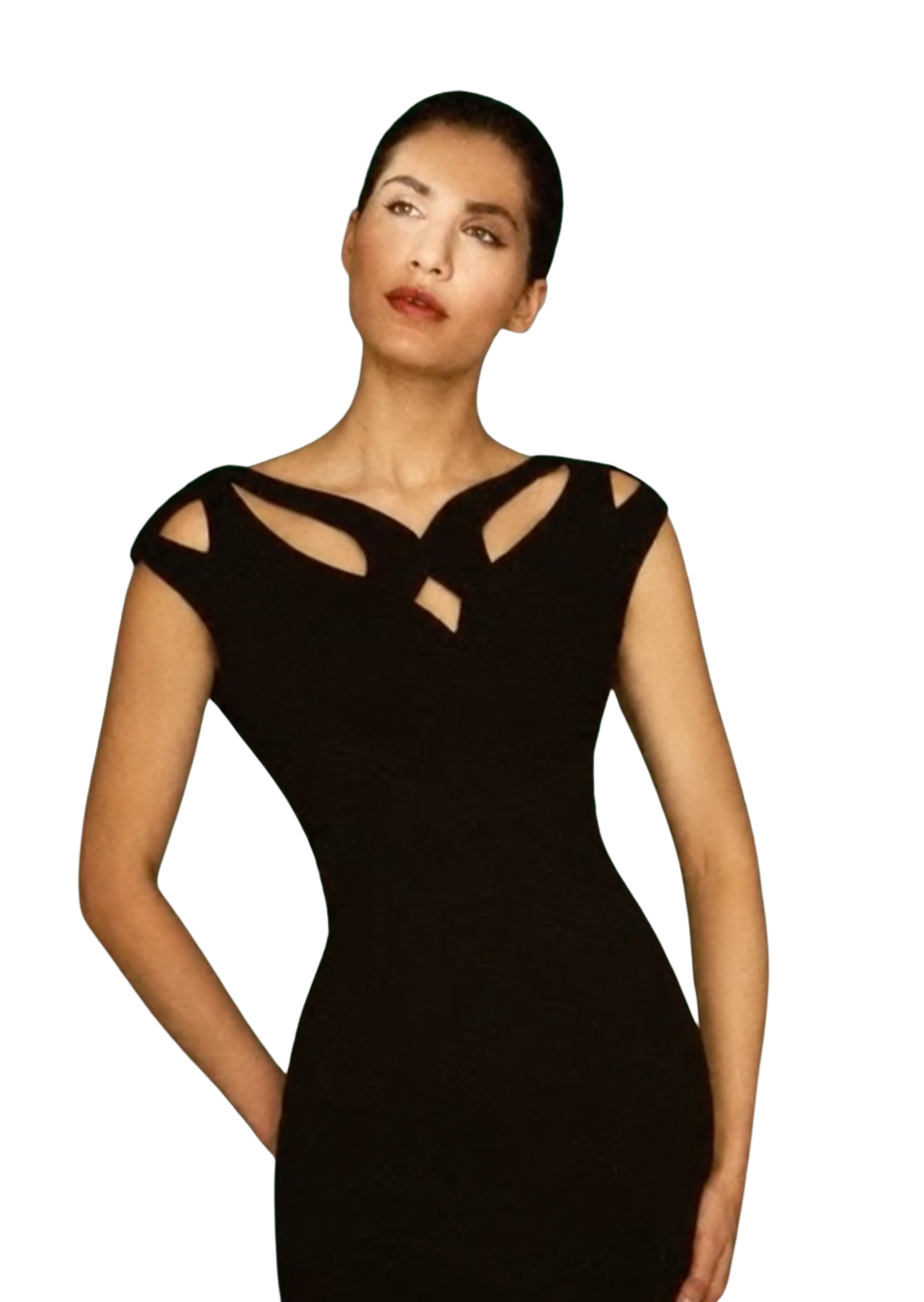 Sybilla Cut Out Gown