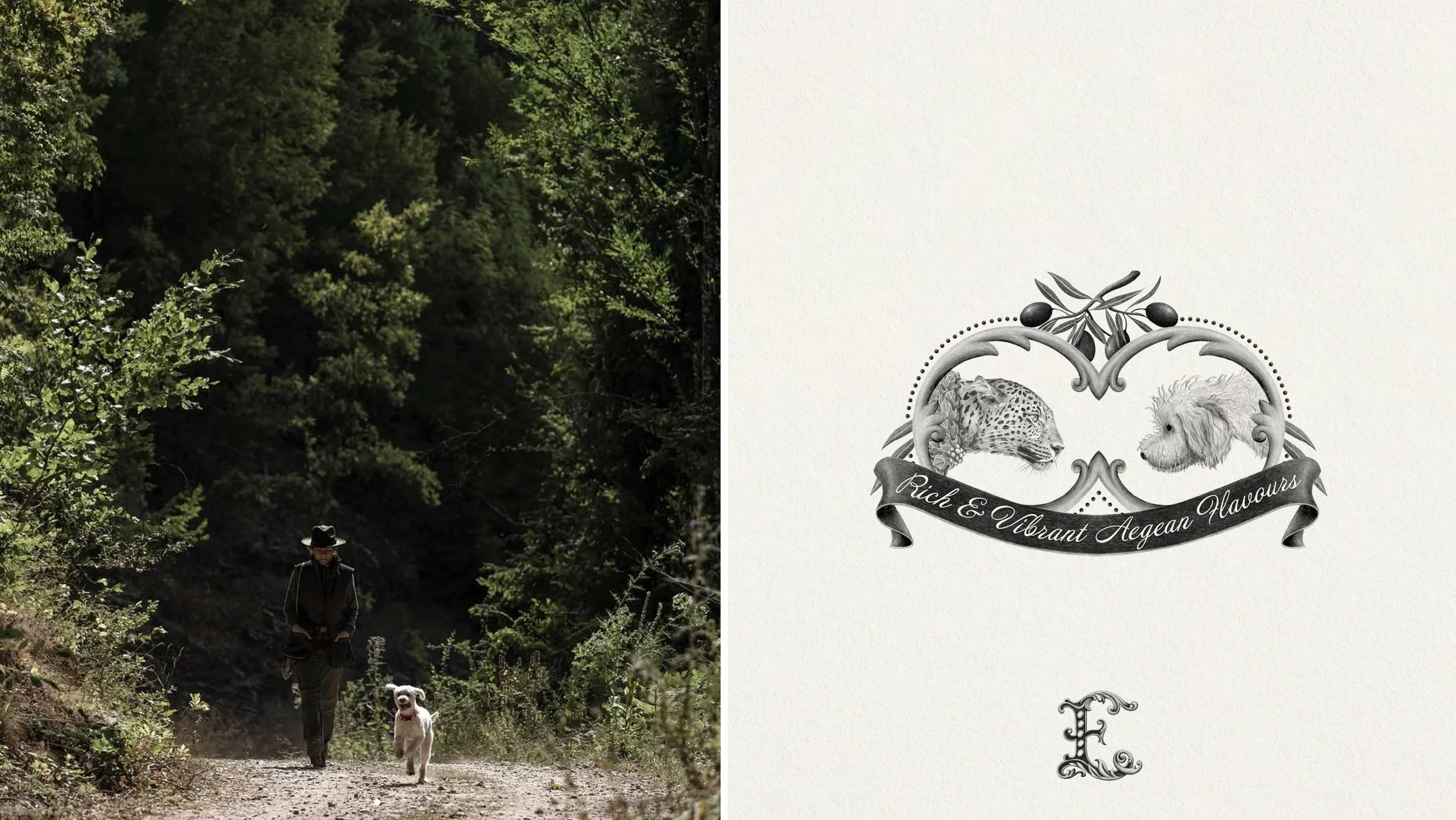 4 evohe branding.jpg