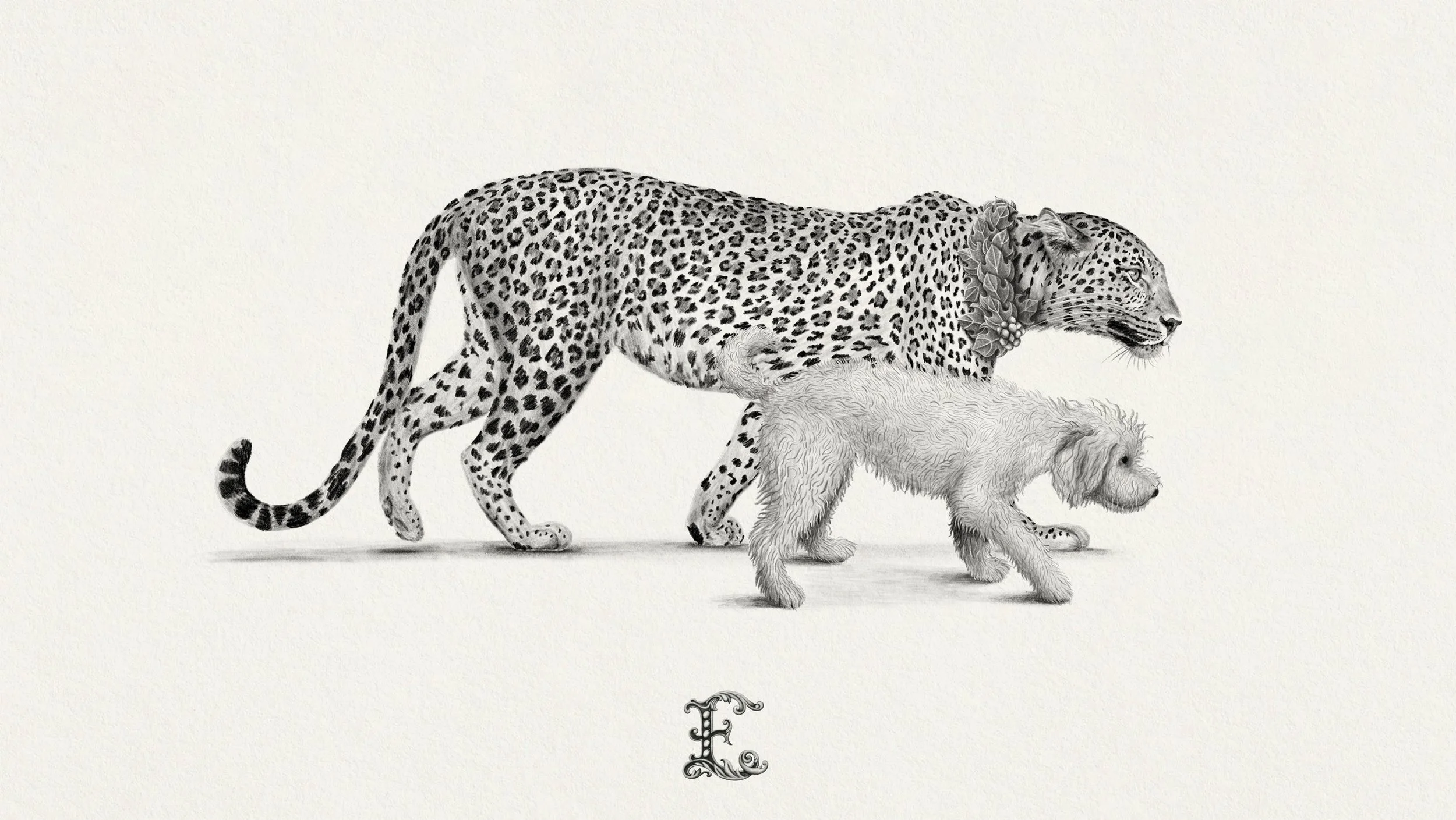 5 evohe branding.jpg