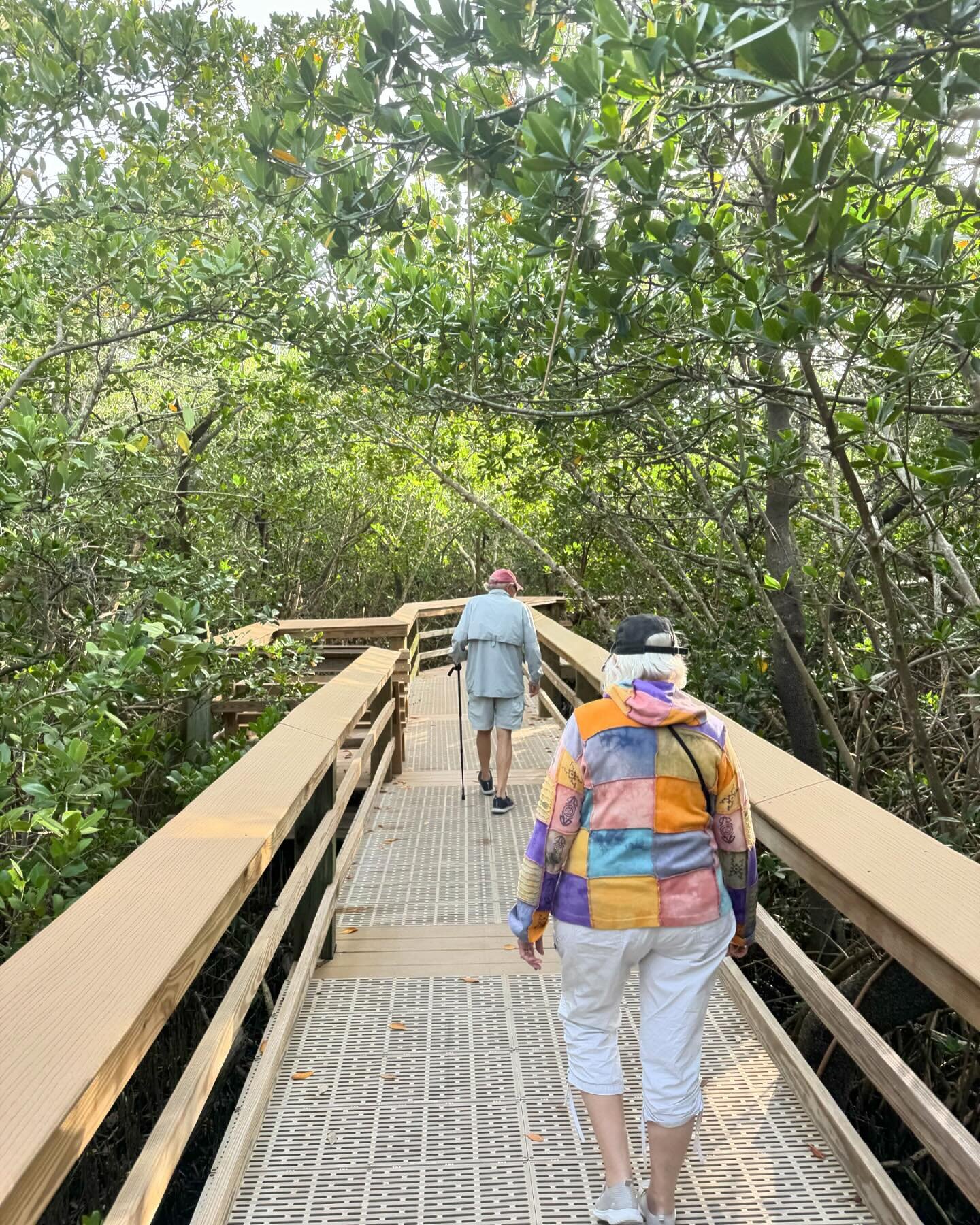 Got to walk an extra day through the mangroves with these folks due to the NYC rains and JetBlue shenanigans.