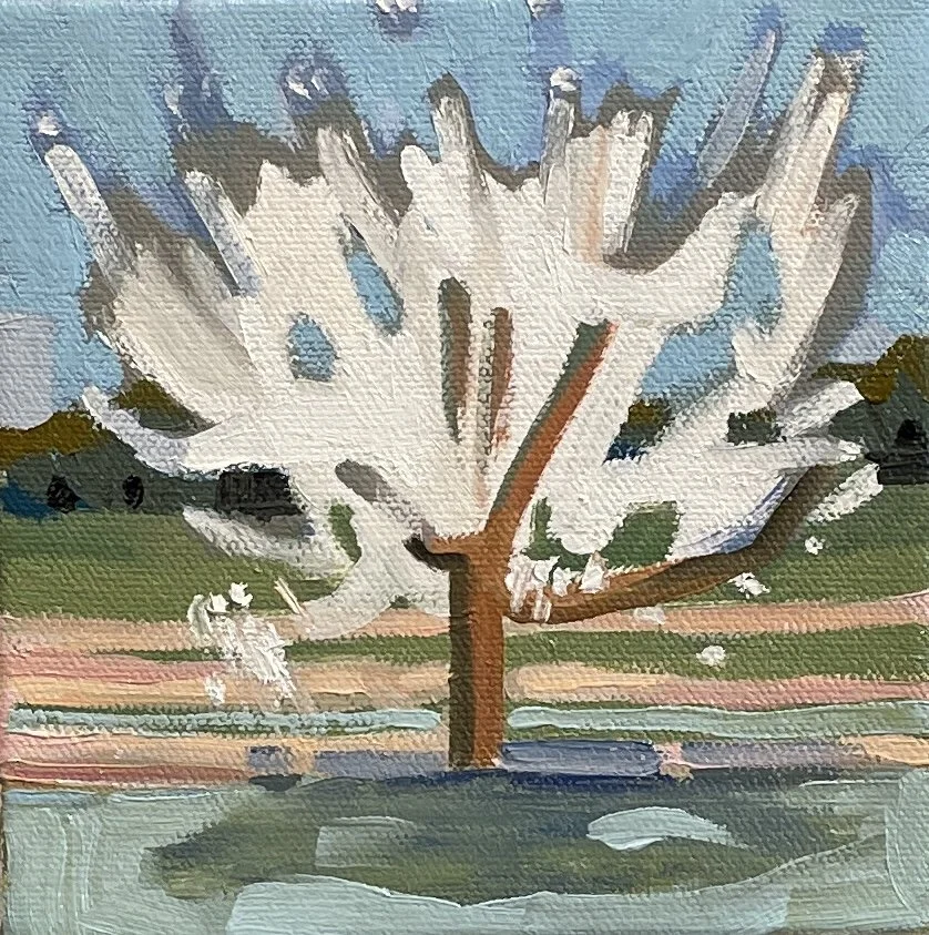 PEAK BLOSSOM, 6X6X1.5, Oil on canvas, $150.