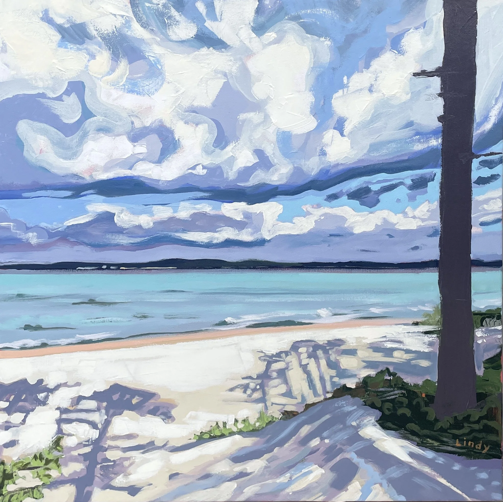 Last Swim- 24x24x1.5, acrylic on canvas, SOLD