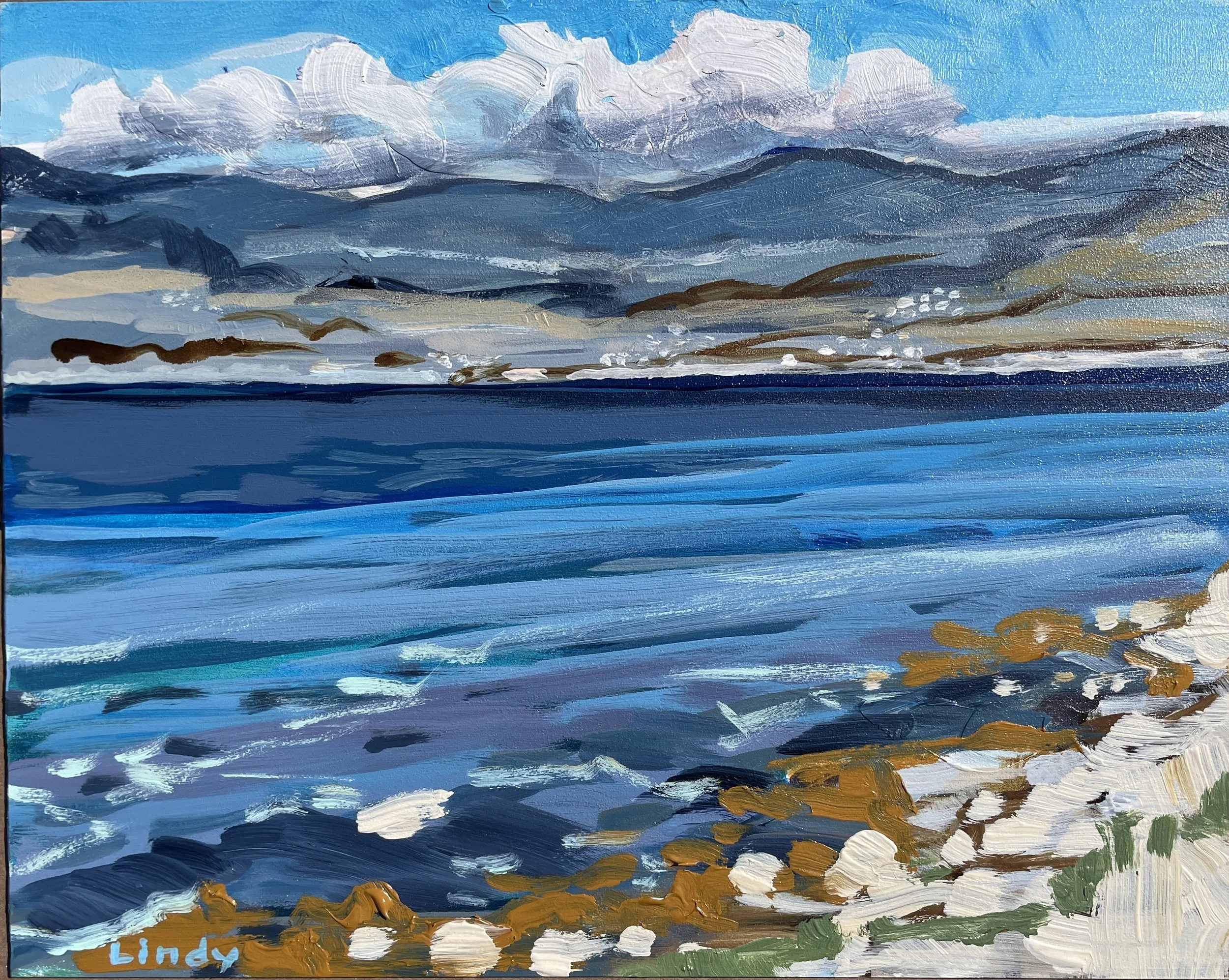 ADRIATIC SEASHORE IN BRAČ- 8x10, acrylic on gesso board, $225.