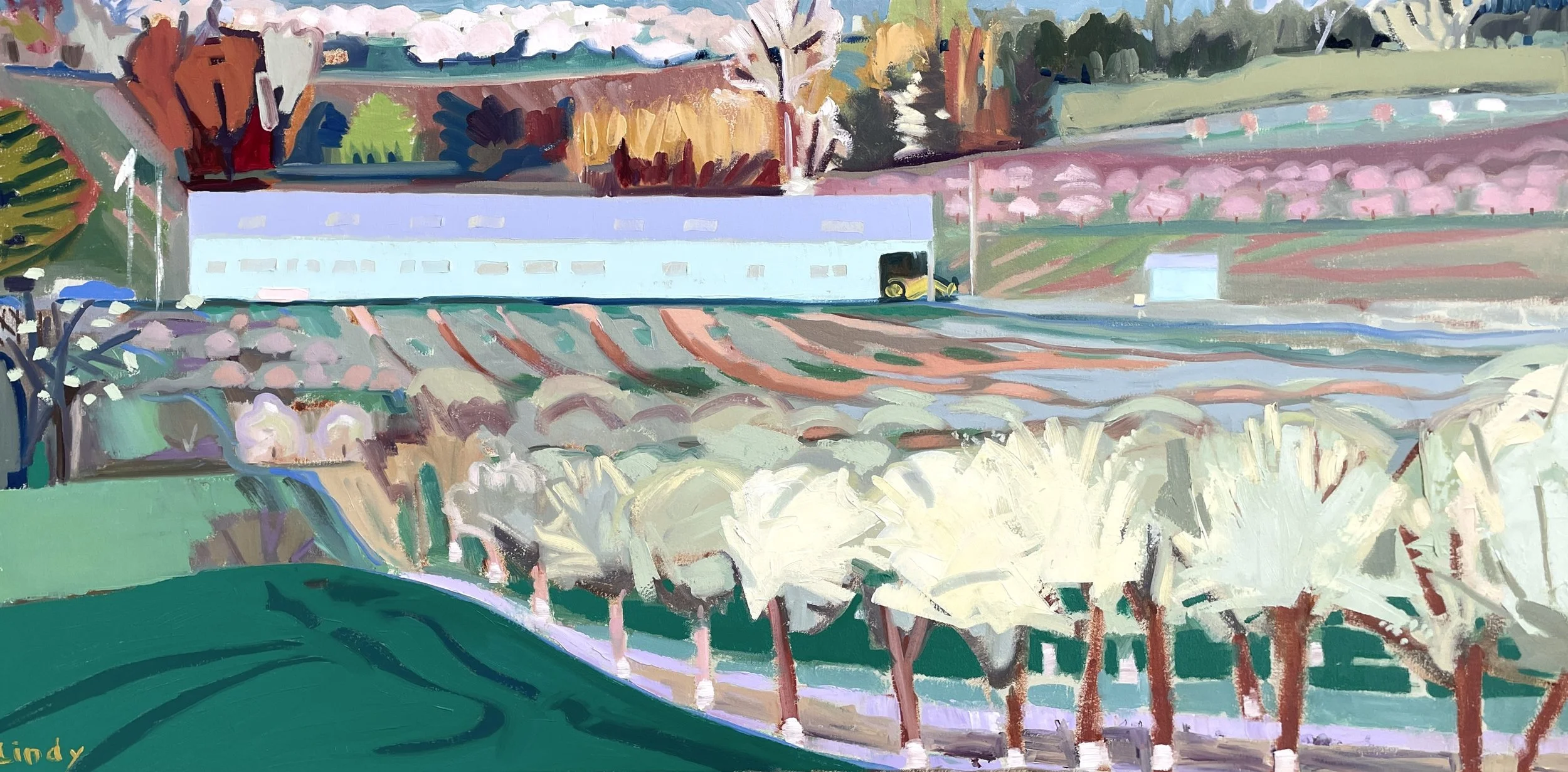TOWNLINE ROAD- 24x48, Oil on Canvas, $2,000.