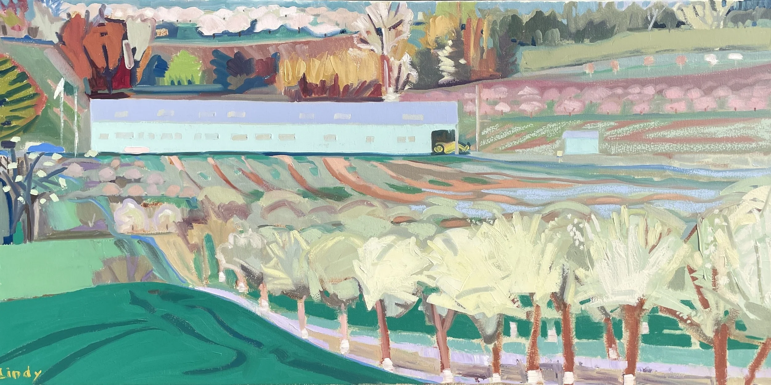 TOWNLINE ROAD- 24x48, Oil on Canvas, $1,800.