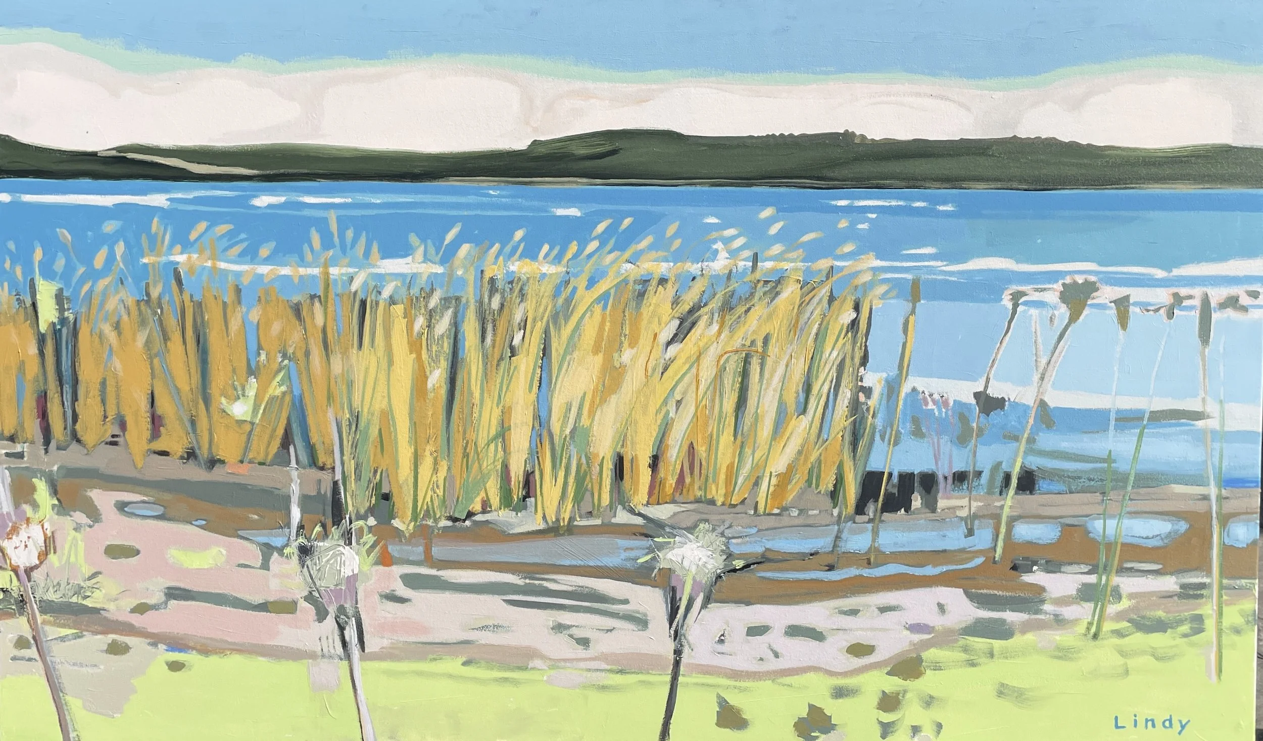 GRASSES AT MAPLE BAY BEACH 2 - 36X60X1.25, acrylic on canvas, $3,700.