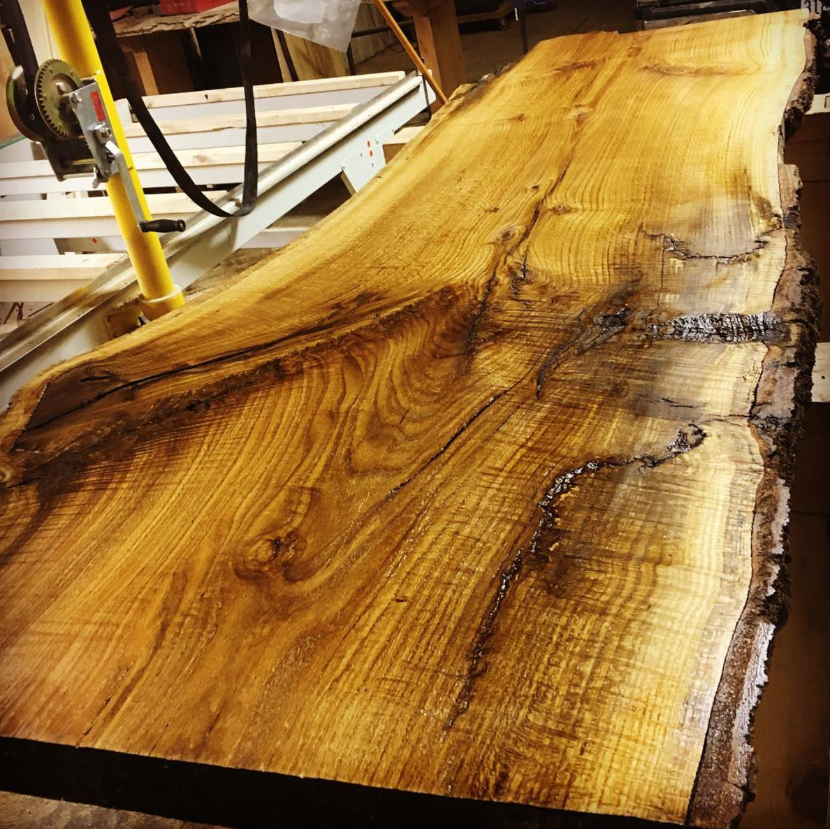 Minnesota Live Edge Slabs.png