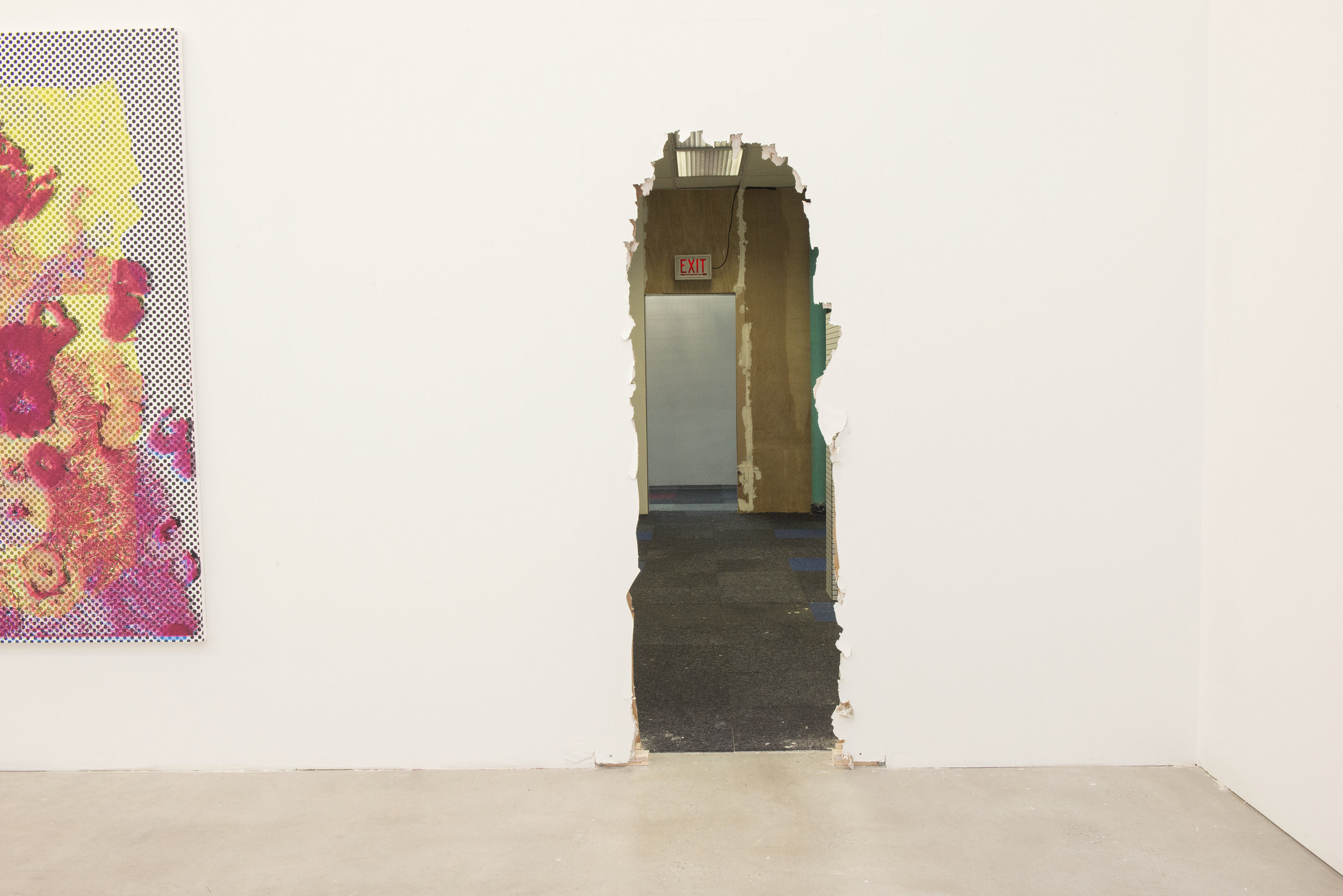 Freeman-Lowe, Installation View 17, Floating Chain (High-Res Toni), 2014.jpg