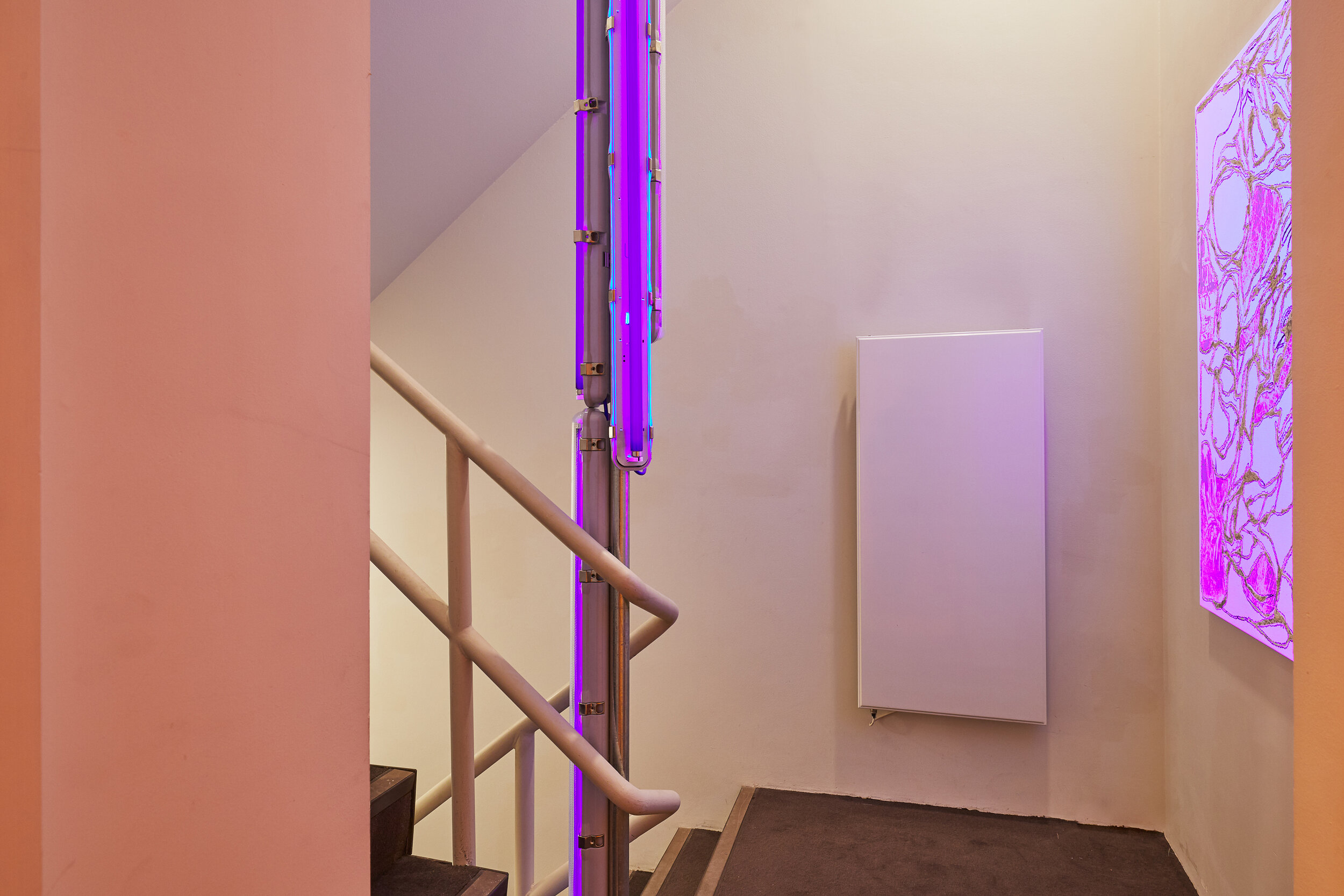 Freeman and Lowe. Colony Sound (R.7_Ultraviolet). Marlborough, London_Installation View 5_Luke Walker.jpg