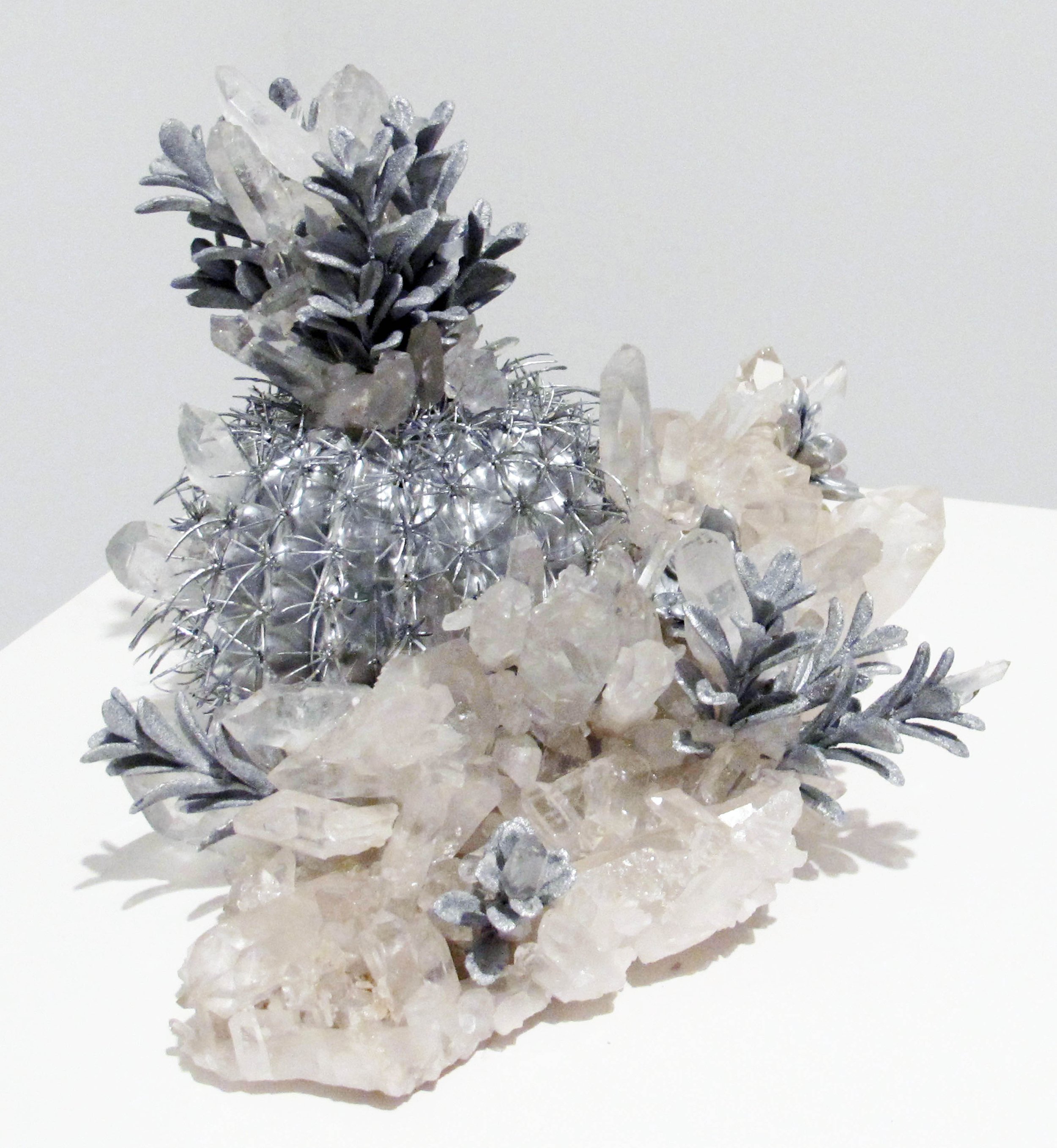 Untitled (Cactus Crystal) #1