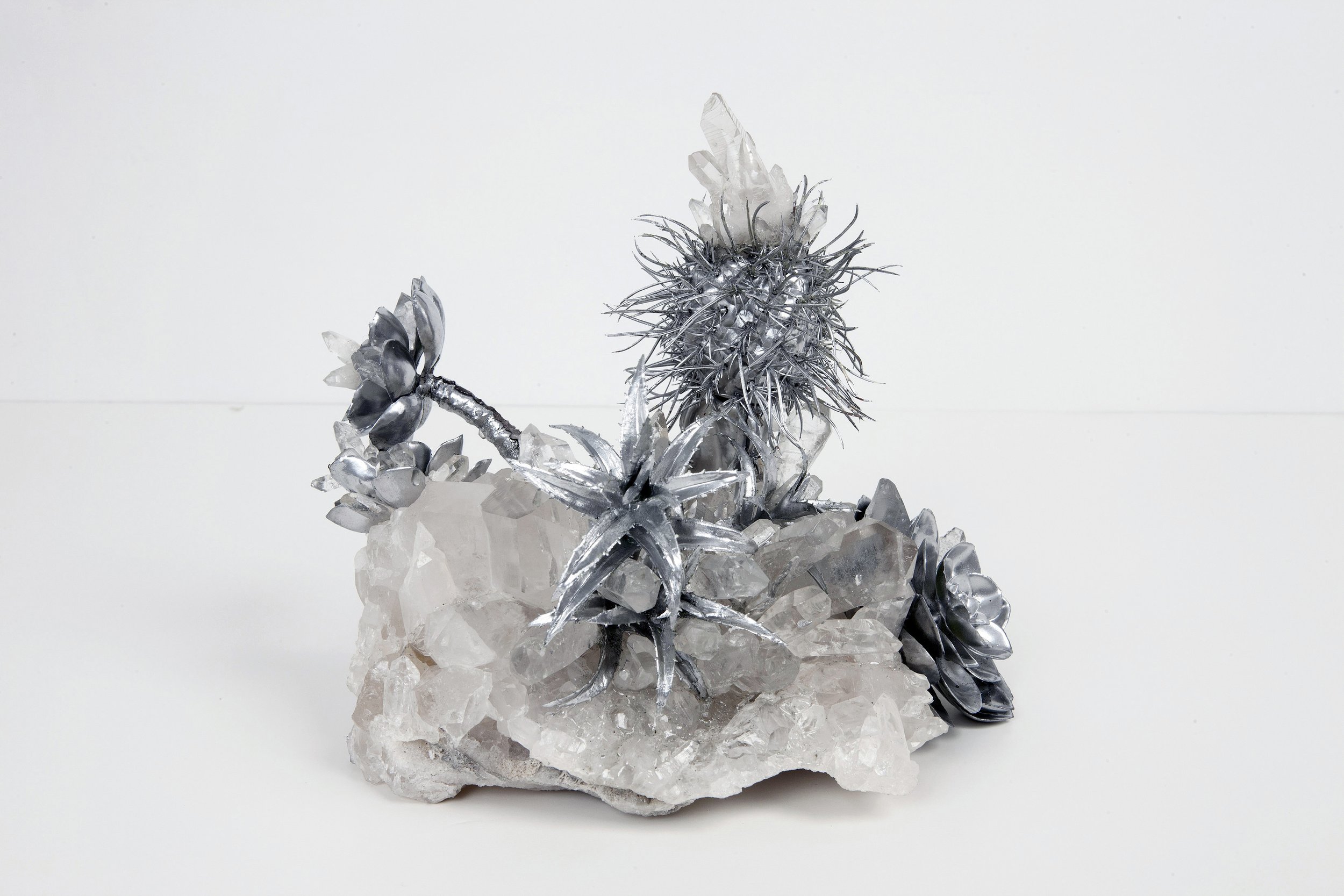 Untitled (Cactus Crystal) #5