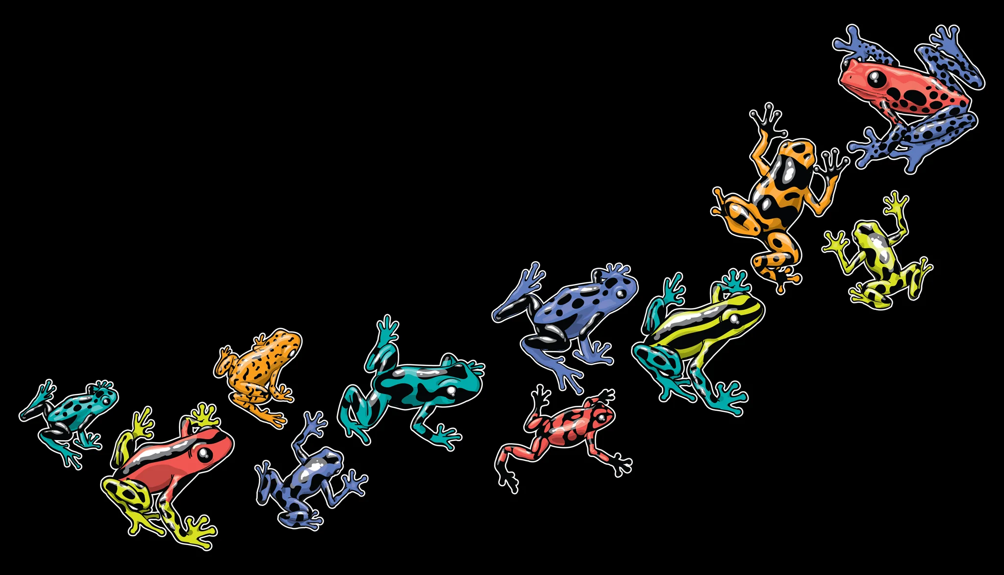 mattdrake_PoisonDartFrogs.jpg