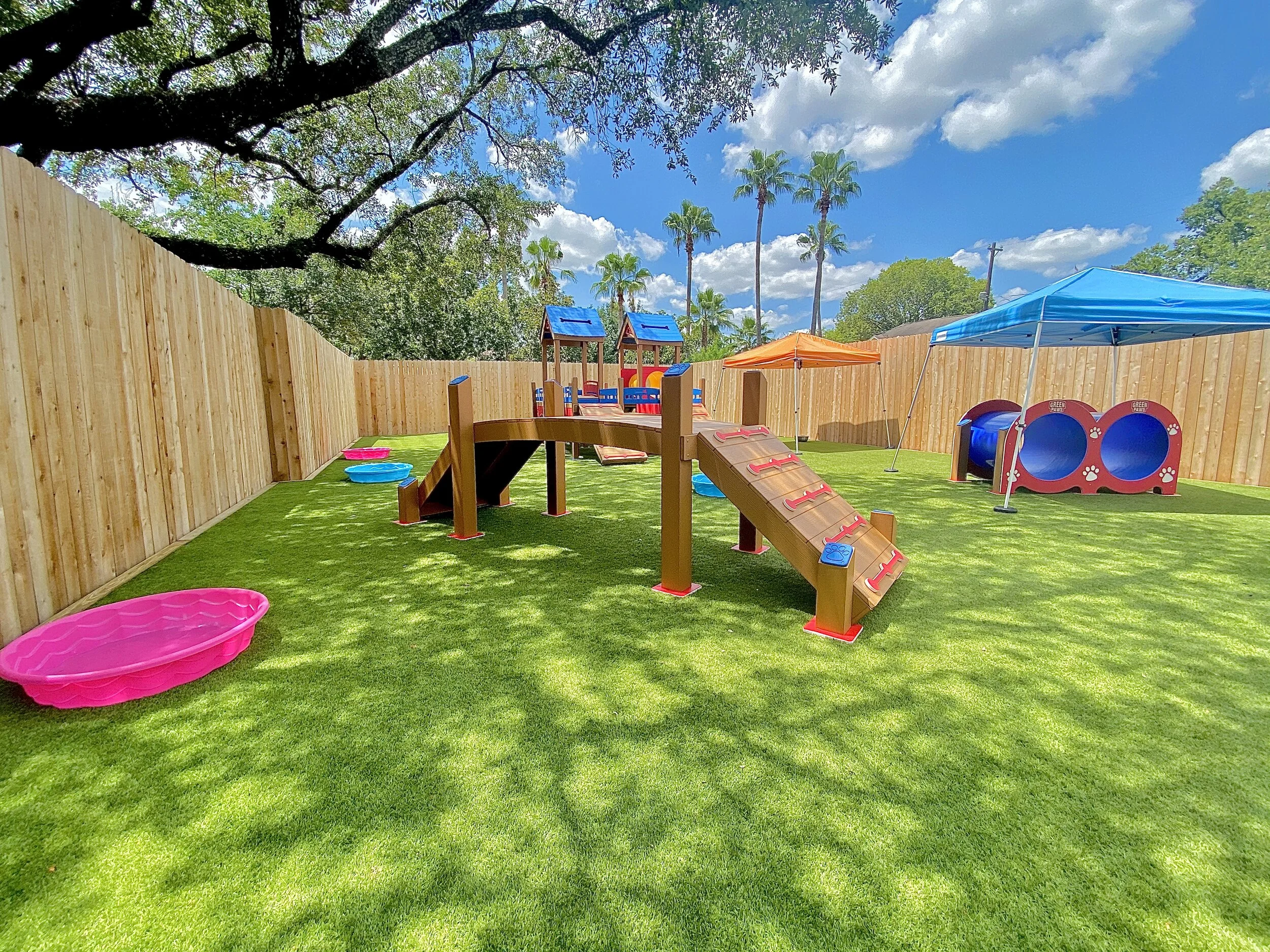 Dogs enjoying supervised outdoor play at Wag’n World in Houston