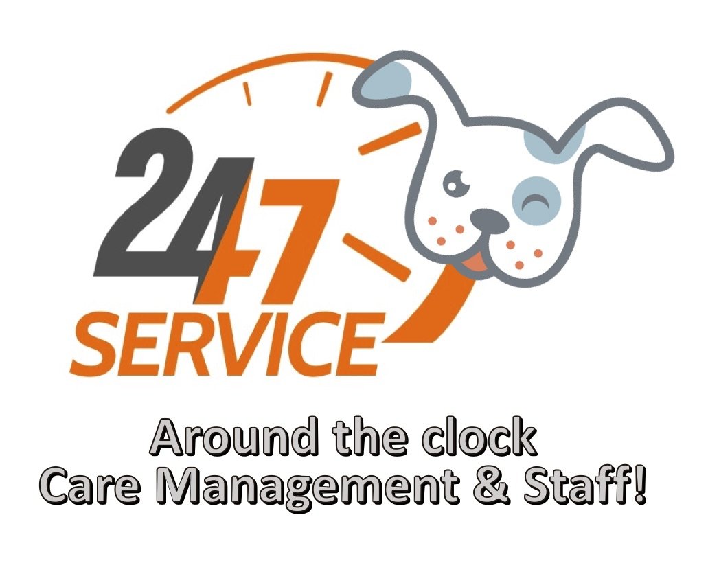 24_7 service.jpg