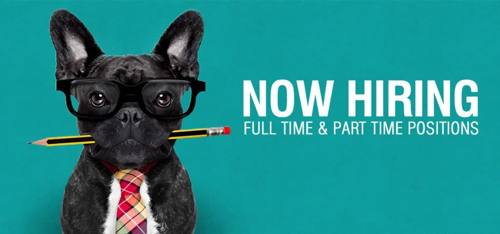 hiring-1024x480.jpg