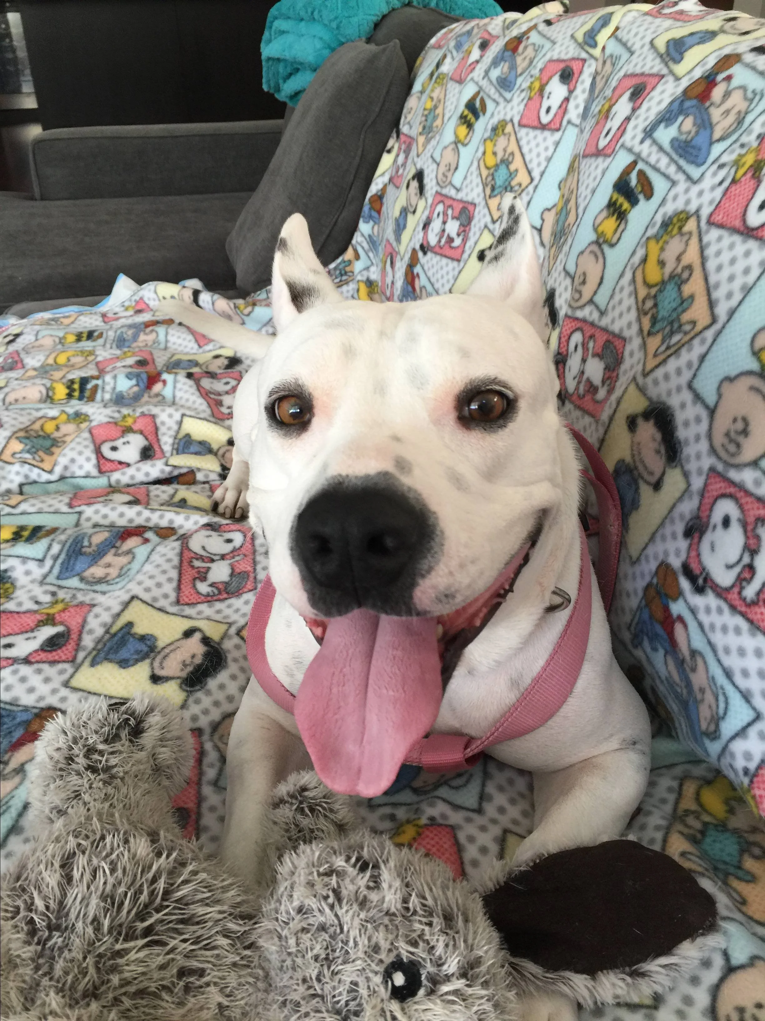 Lucy E.