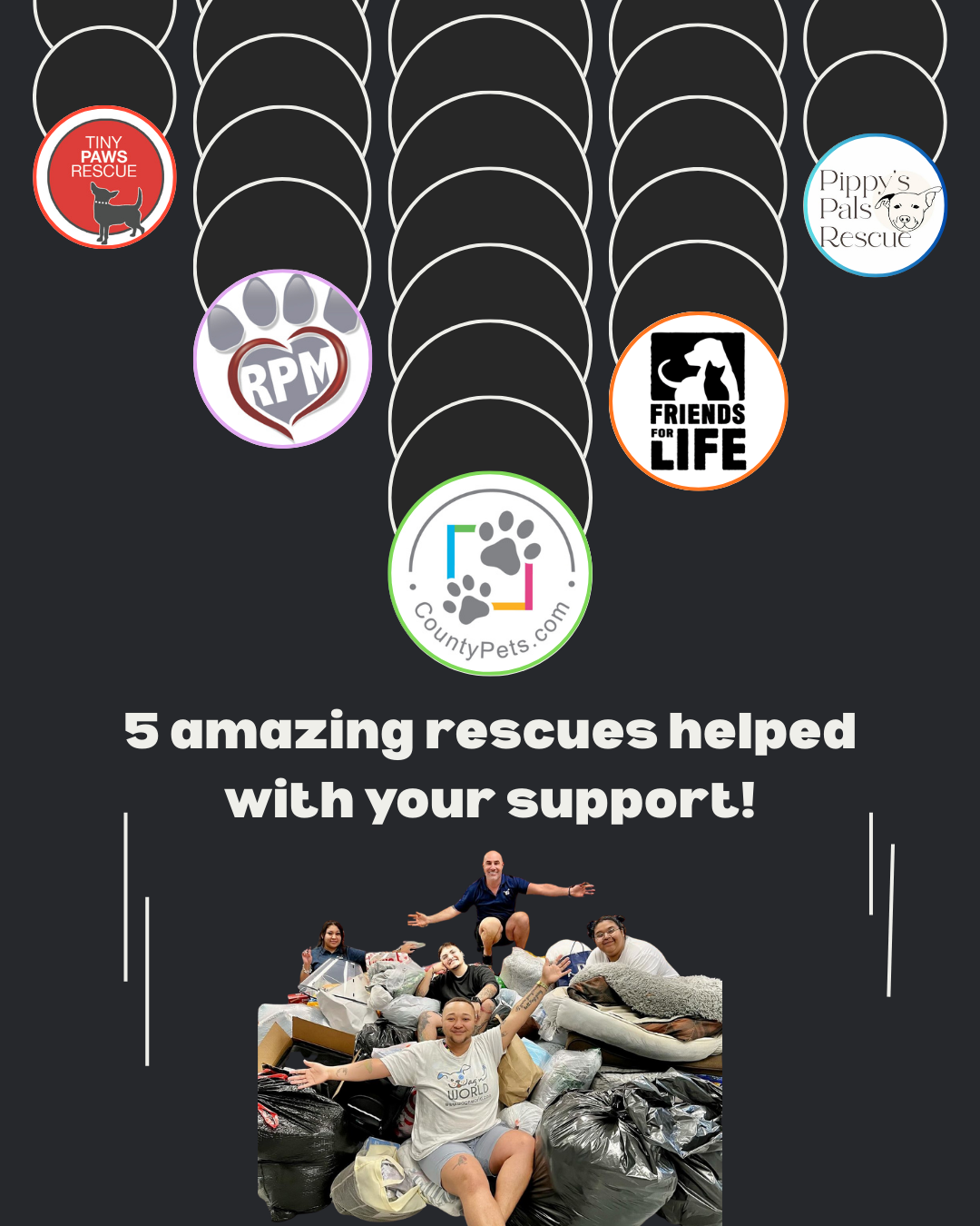 2026 Wrapped - 10.PNG