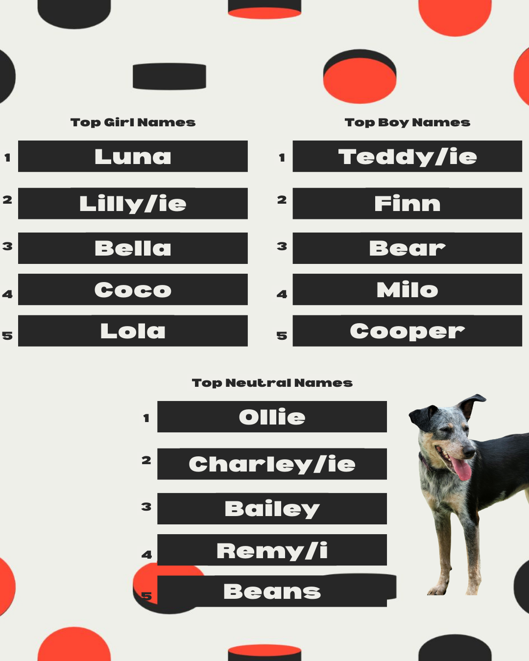 2026 Wrapped - 8.PNG