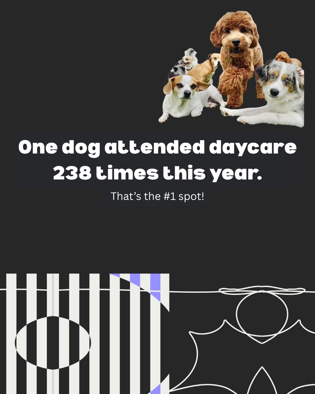 2026 Wrapped - 7.PNG