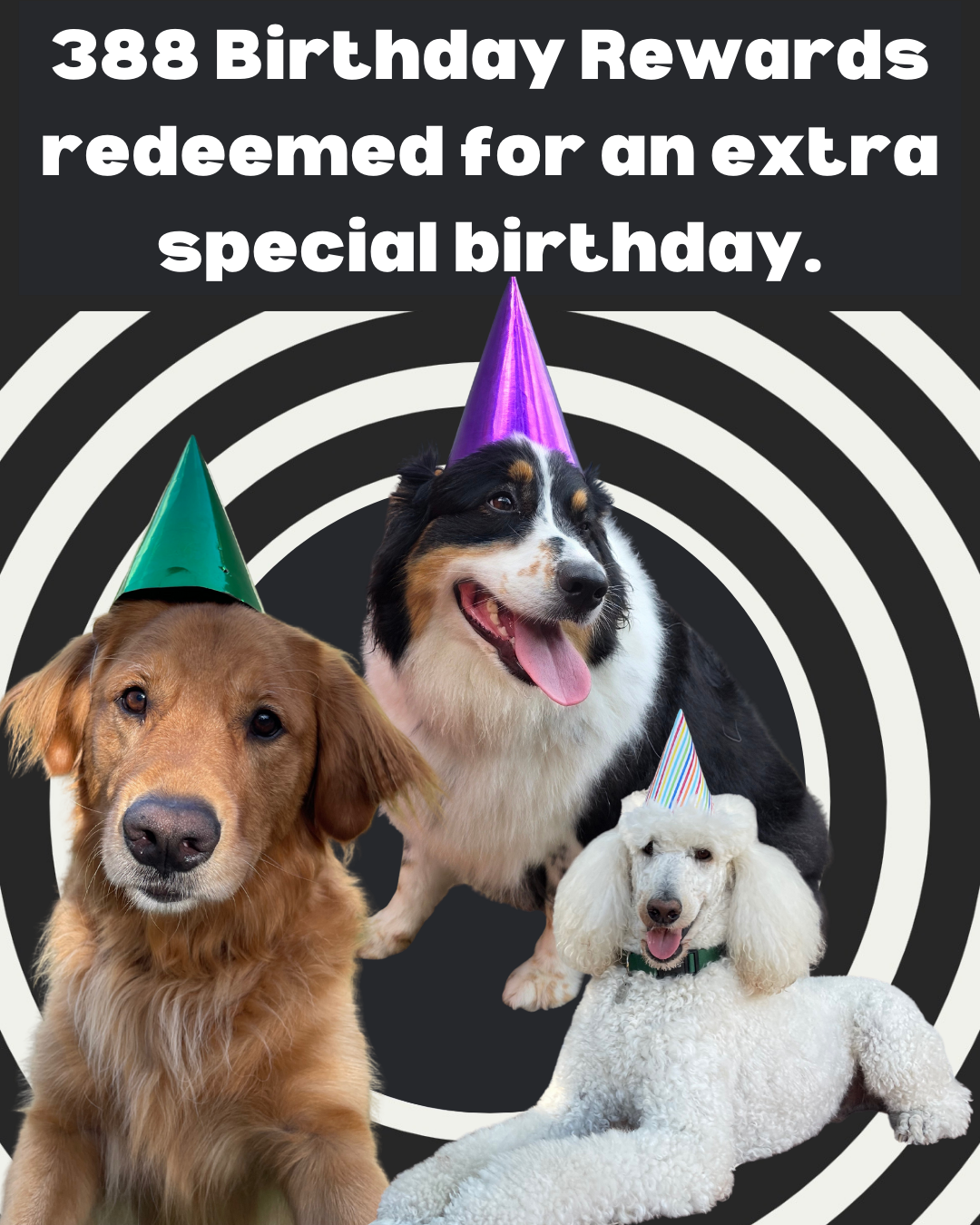 2026 Wrapped - 5.PNG