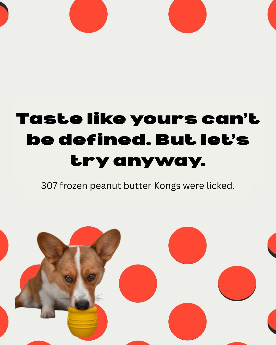 2026 Wrapped - 3.PNG