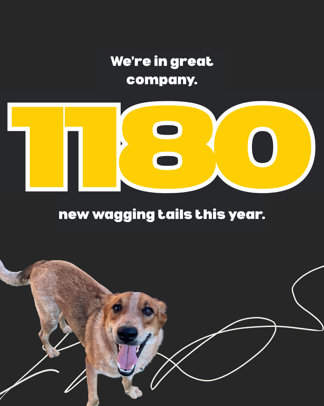 2026 Wrapped - 2.PNG