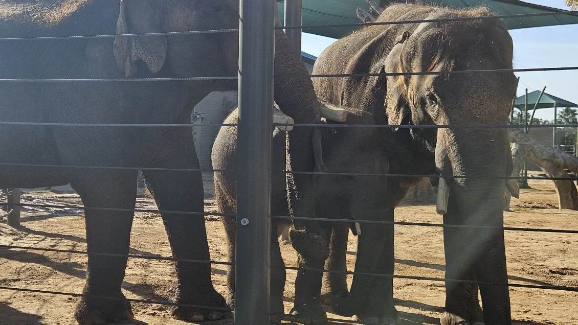 Zoo image000002-2.jpg