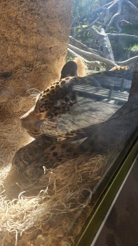 Zoo image000003-2.jpg