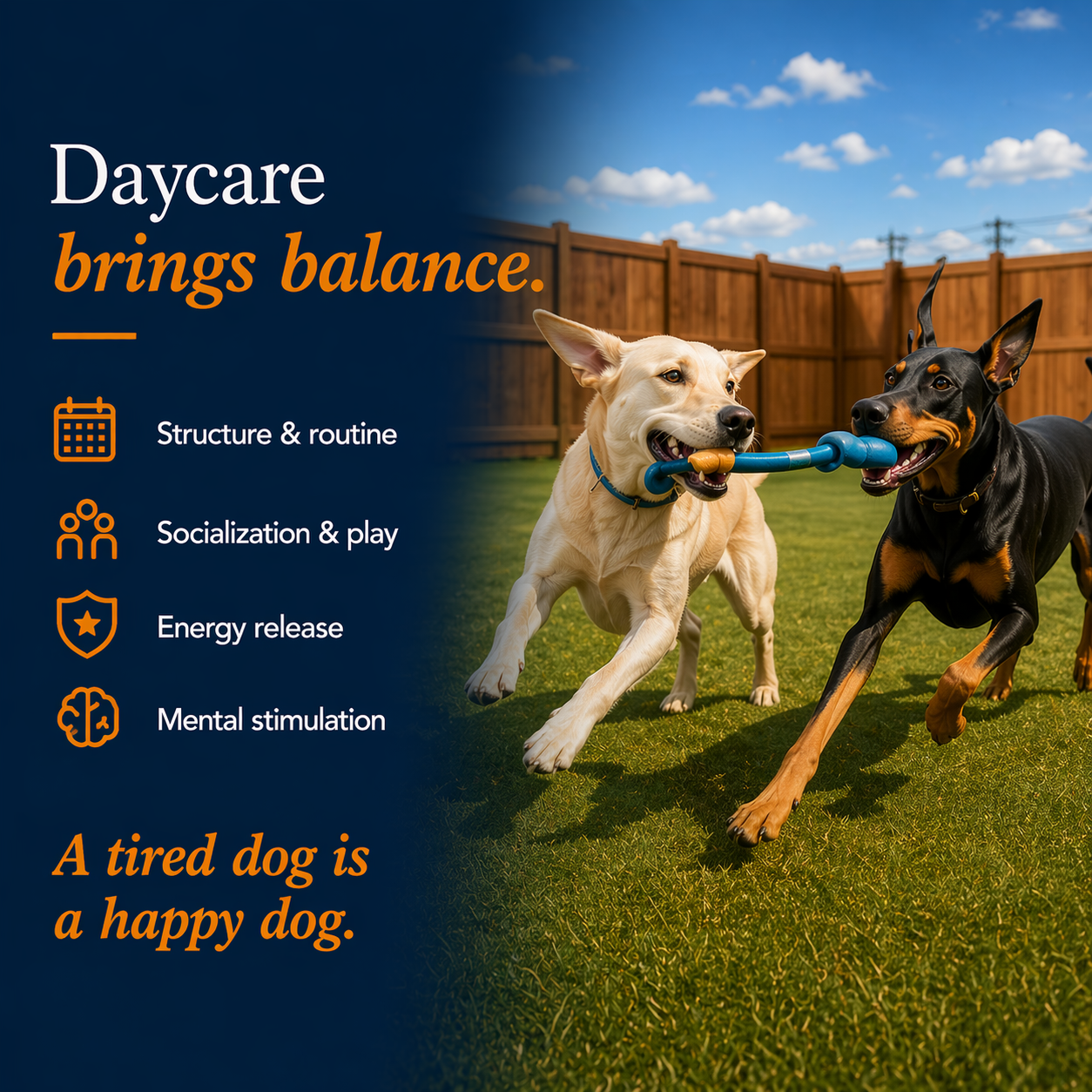 ChatGPT Image Apr 21, 2026, 04_45_17 PM.png