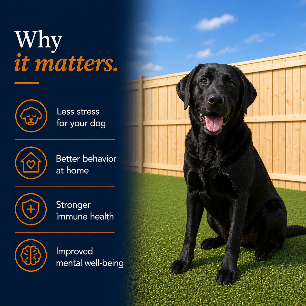 ChatGPT Image Apr 21, 2026, 04_44_22 PM.png