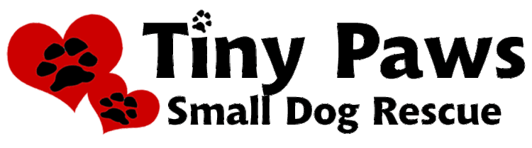 Tiny+Paws+Rescue-2.gif