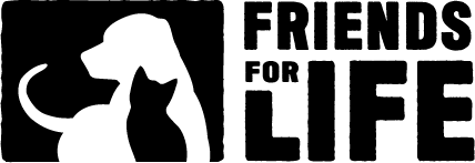 01+FFL+Logo+Horizontal+Preferred+Black+PNG.png.webp