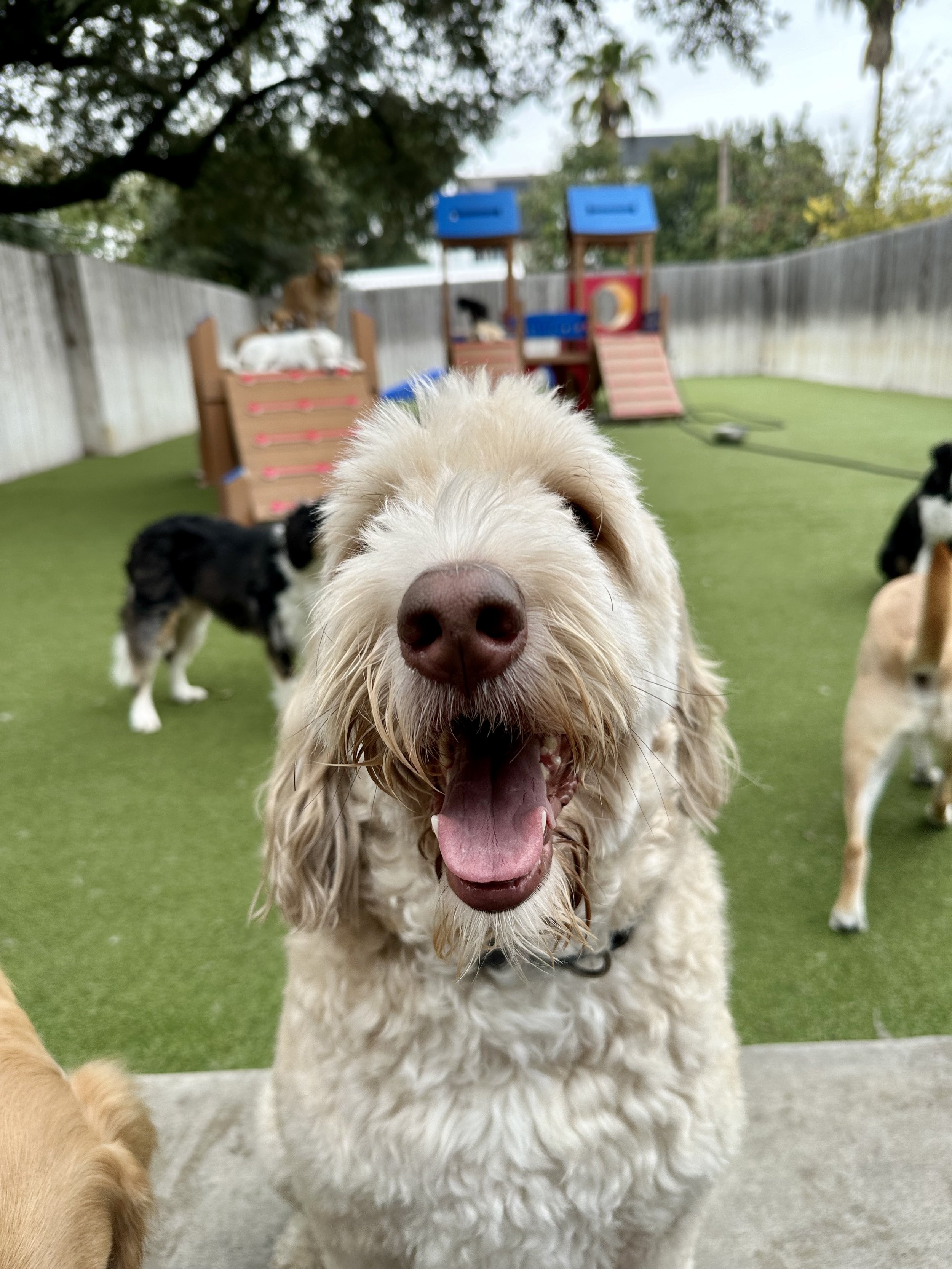 IMG_2517 3.jpg