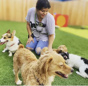 New dog evaluation day at Wag'n World dog daycare in Houston