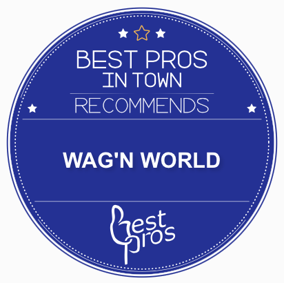 Wag'n World Best Pros award