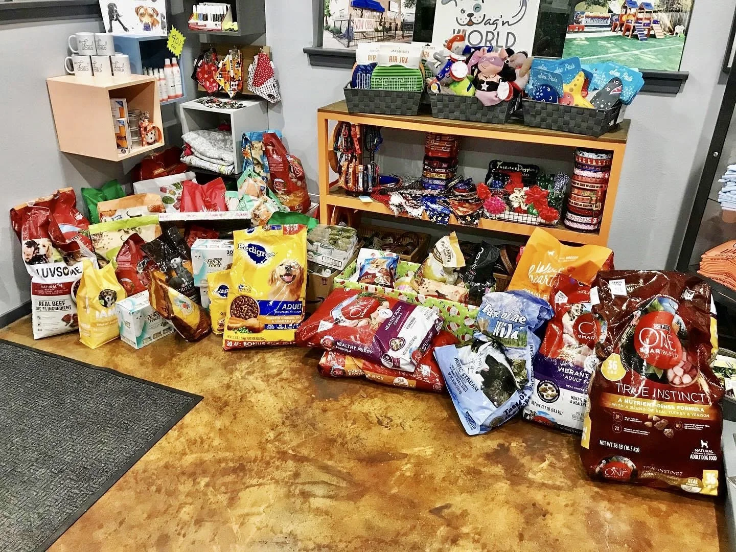 IMG_5059.jpg