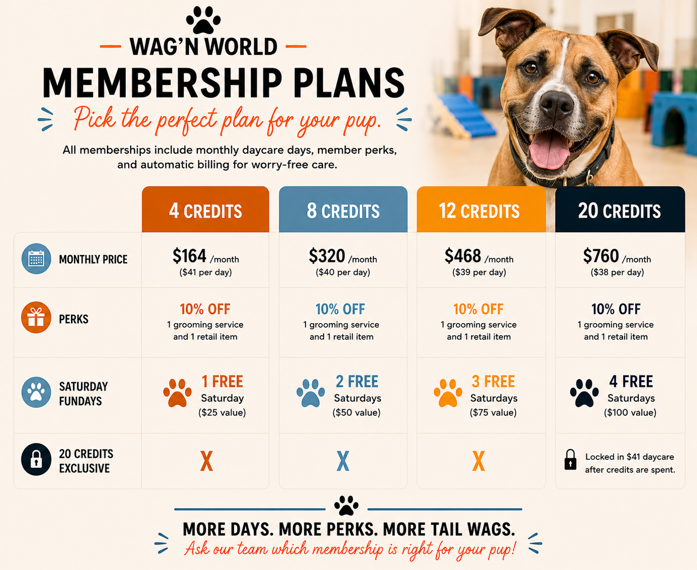 Membership Marketing EMail.png