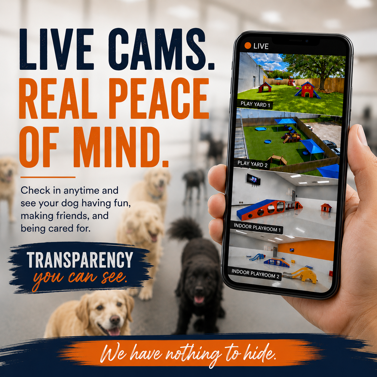Live Dog Cameras: Why Every Dog Daycare Should Have Them