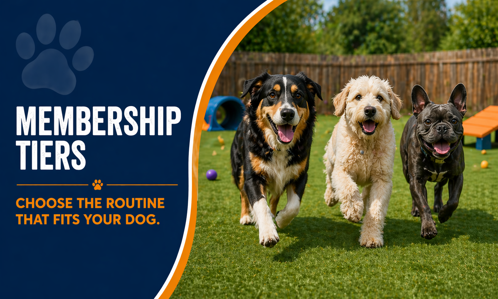 ChatGPT Image Apr 21, 2026, 04_33_29 PM.png