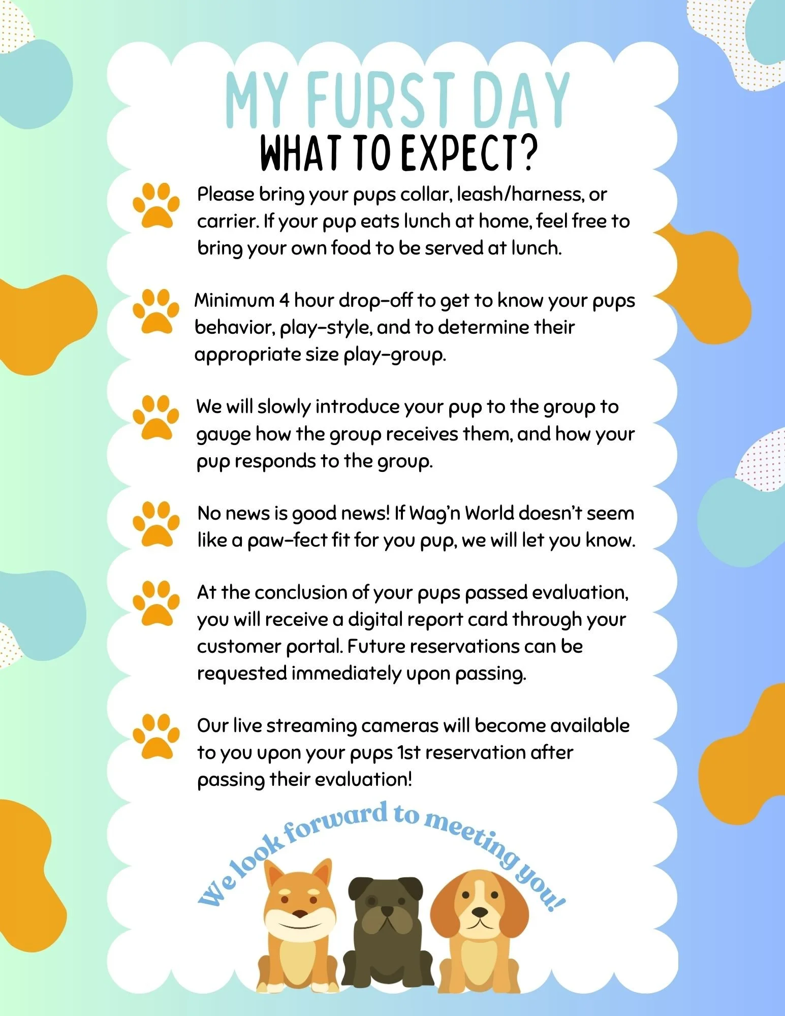 Dog's first day evaluation at Wag'n World dog daycare and boarding in Houston