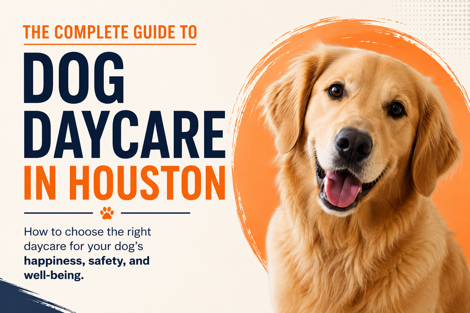 Complete Guide to Dog Daycare in Houston