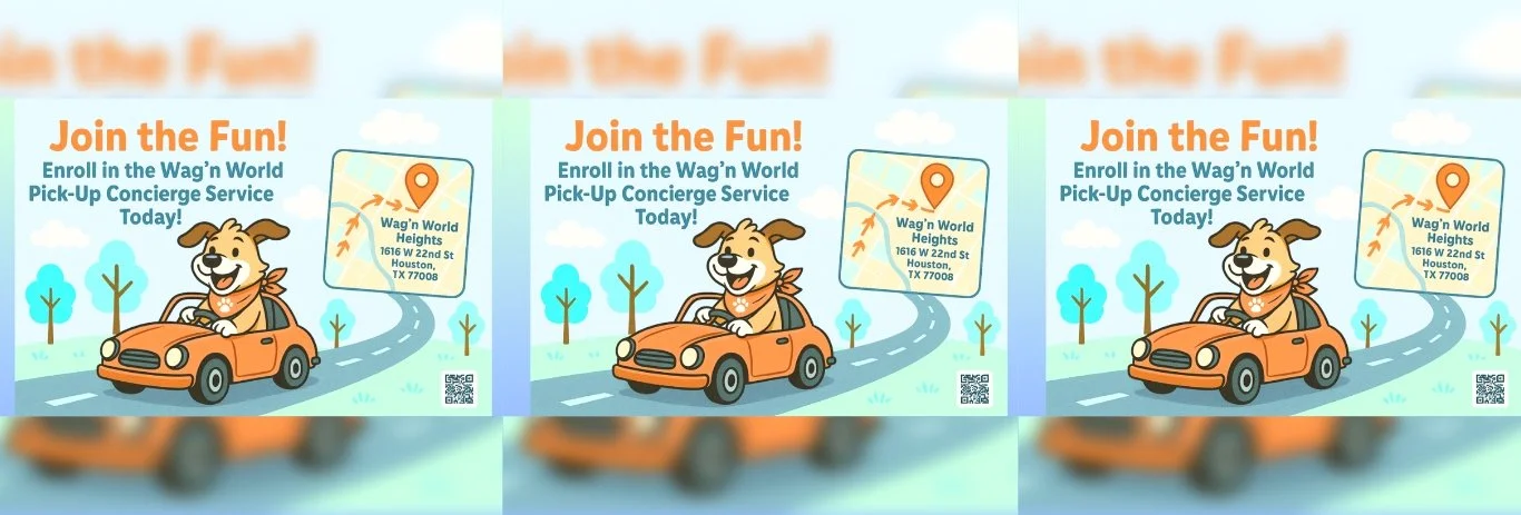 Untitled design-9.jpg