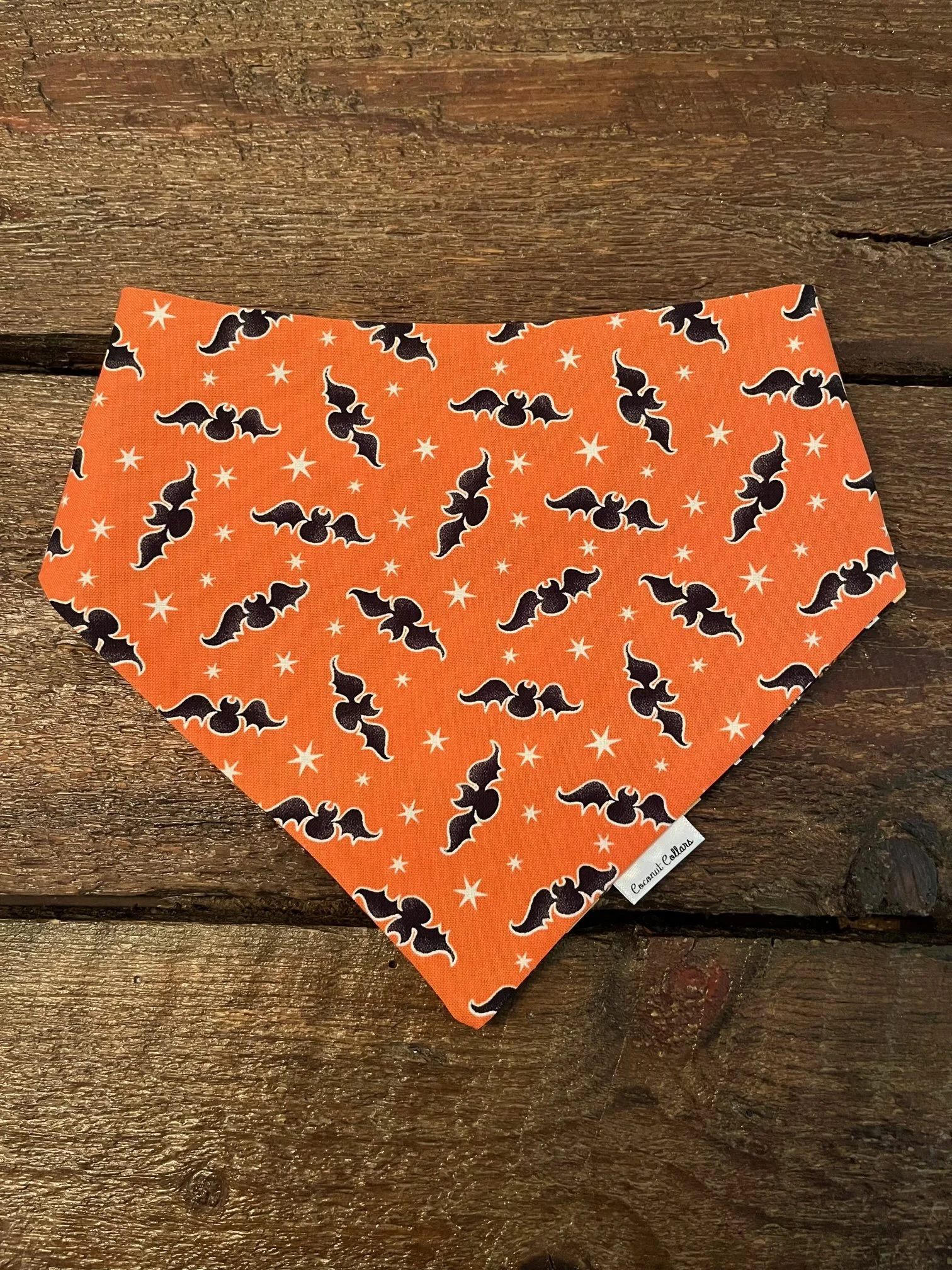 Halloween Owls Back.jpg